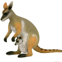 Science and Nature | Large Rock Wallaby