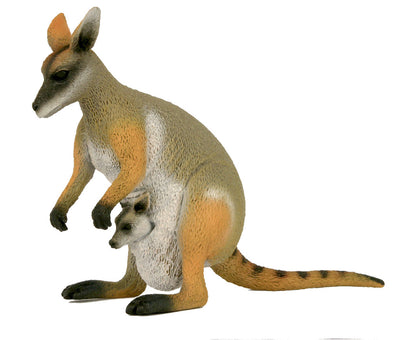 Science and Nature | Large Rock Wallaby