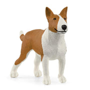 Scheich | Bull Terrier