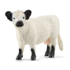 Schleich | Galloway Cow