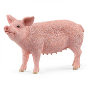 Schleich | Pig