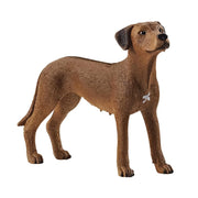 Schleich | Rhodesian Ridgeback