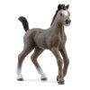 Schleich | Selle Francais Foal