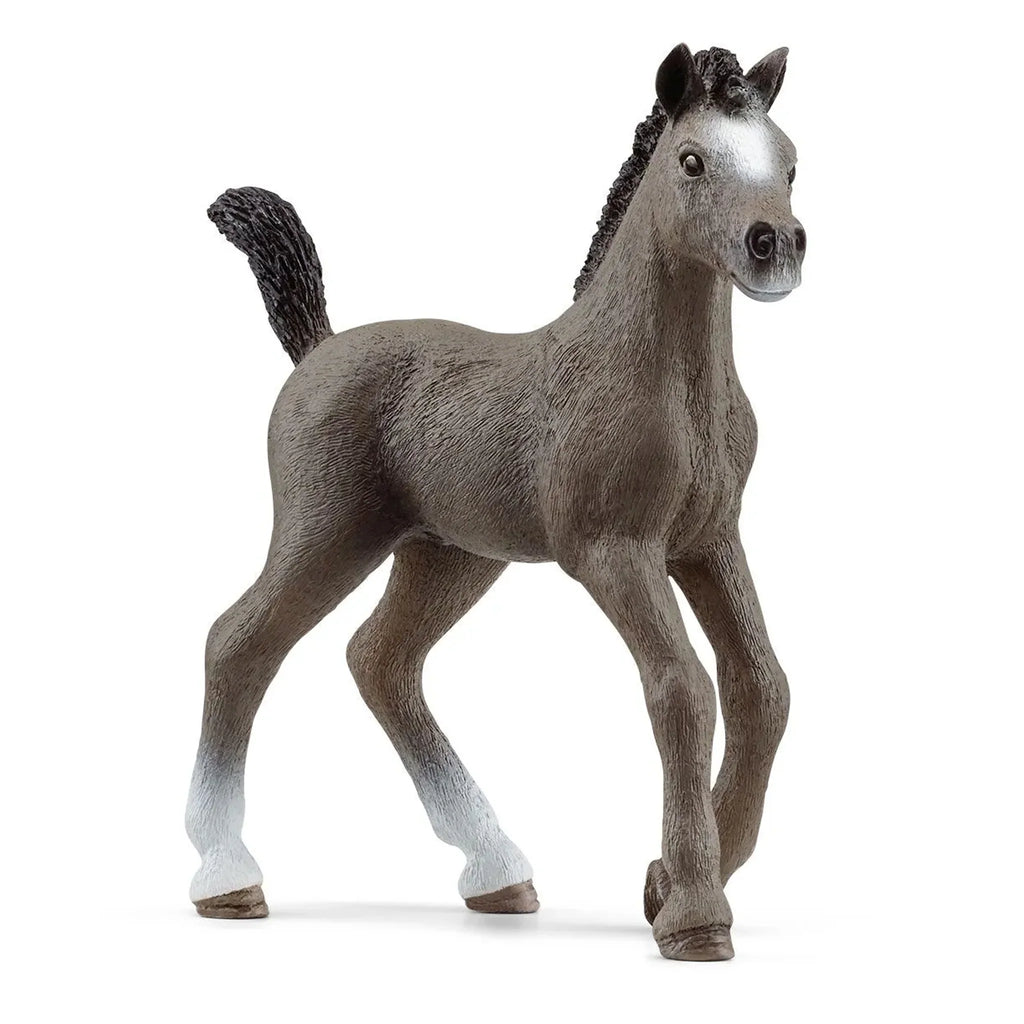 Schleich - Selle Francais Foal 13957