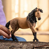 Schleich | Andalusian Mare 2025
