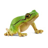Schleich | European Tree Frog 14882