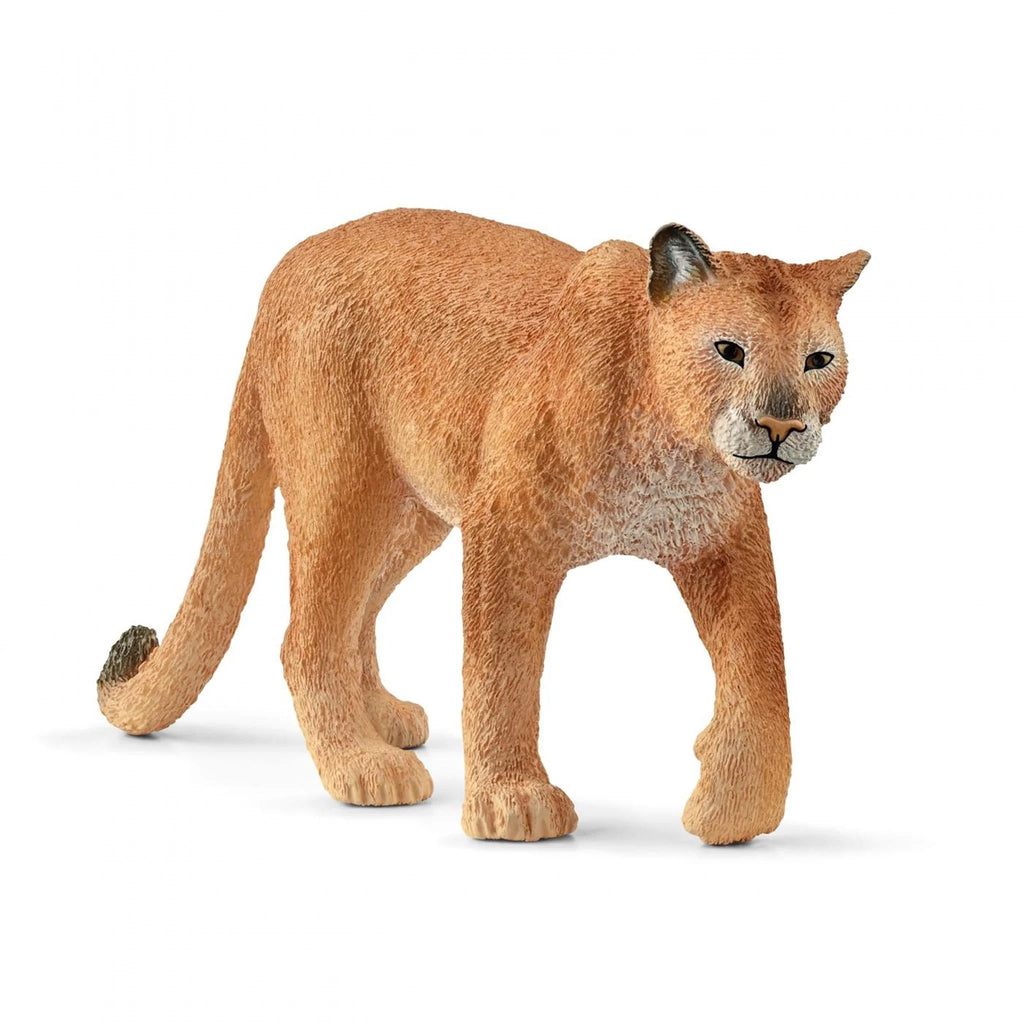 Schleich I Cougar