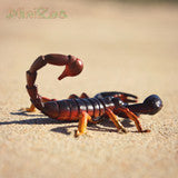 Science and Nature | Scorpion Small