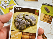 Cheatwell | Plop Trumps - It's The Business Card Game