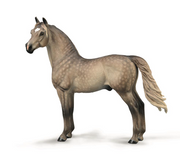 CollectA | Morgan Stallion - Silver Grulla