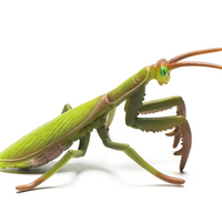 CollectA | Praying Mantis 88351