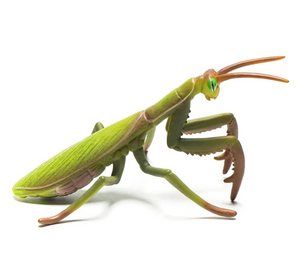 CollectA | Praying Mantis 88351