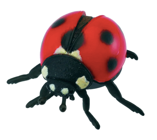 CollectA | Ladybird