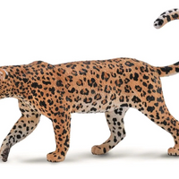 CollectA | African Leopard 88866