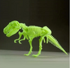 Edu-Toys | Glow in the Dark Tyrannosaurus Rex Skeleton