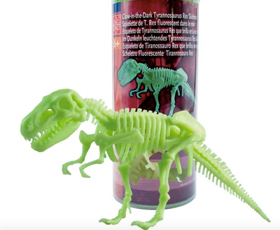 Edu-Toys | Glow in the Dark Tyrannosaurus Rex Skeleton