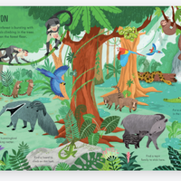 Usborne | First Sticker Book  Planet Earth