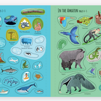 Usborne | First Sticker Book  Planet Earth