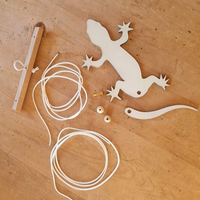 Flap! Toys | Design your own Gecko Climber