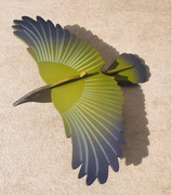 Flap! Toys | Korimako Bellbird
