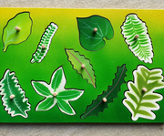 Flap! Toys | Let's Botanise!