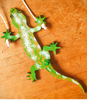 Flap! Toys | Climbing Geckos