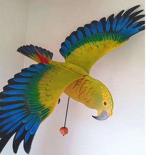 Flap! Toys | Kea/ NZ mountain parrot