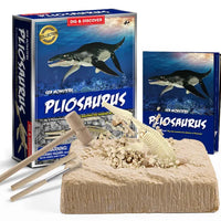 Piano Potato | Dig Kits Pliosaurus