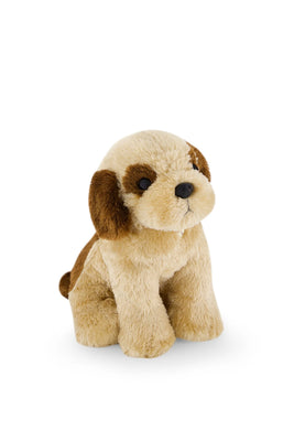 Snuggle Bunnies | Coco the Shih Tzu
