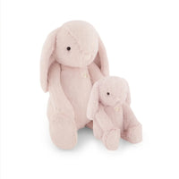 Snuggle Bunnies | Penelope the Bunny