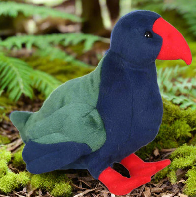 Antics | Takahe Sound Bird