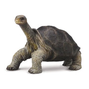 CollectA | Pinta Island Tortoise 88619