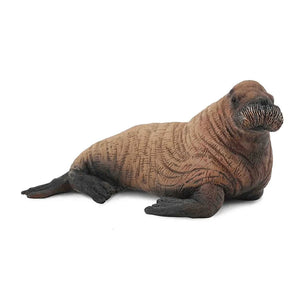 CollectA | Walrus Calf 88570