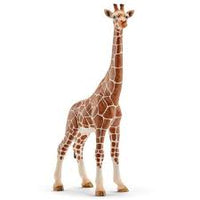 Schleich I Female Giraffe