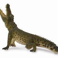 CollectA I Nile Crocodile