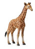 CollectA I Reticulated Giraffe Calf