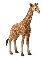 CollectA I Reticulated Giraffe Calf