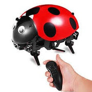 Intelligent DIY Lady Bug Robot Kit (2.4GHz)