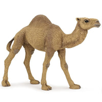 Papo | Dromedary