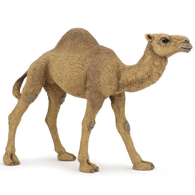 Papo | Dromedary