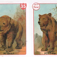 Noah's Ark Card Game