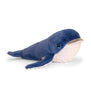 Antics | Keeleco Whale