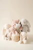 Snuggle Bunnies | Penelope the Bunny