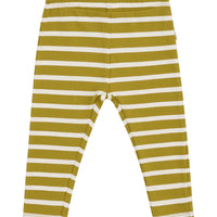 Bonds | Needle Rib Leggings Olive/ Mascarpone Stripe