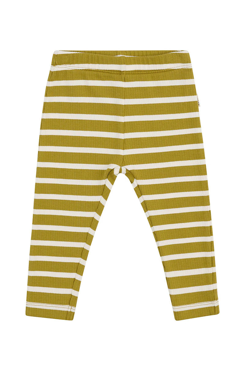 Bonds | Needle Rib Leggings Olive/ Mascarpone Stripe