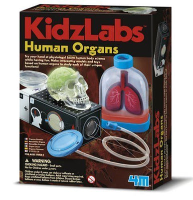 4M | Kidz Labs - Human Organs