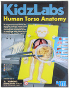 4M | Kidz Labs Human Torso Anatomy