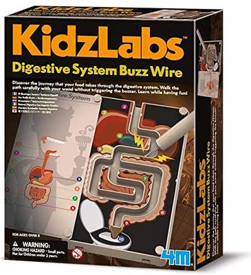 4M | Kidz Labs - Digestive System Buzz Wire