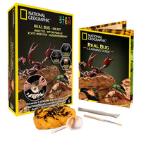 National Geographic - Real Bug Dig Kit