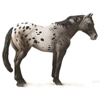 CollectA | Appaloosa Blue Roan 88947